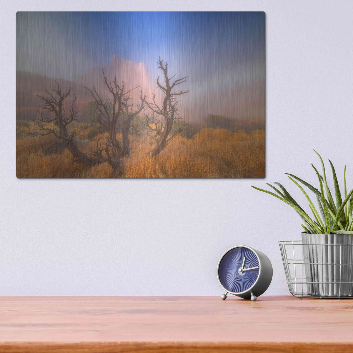 Luxe Metal Art 'Mystic Wonders' by Darren White, Metal Wall Art,16x12