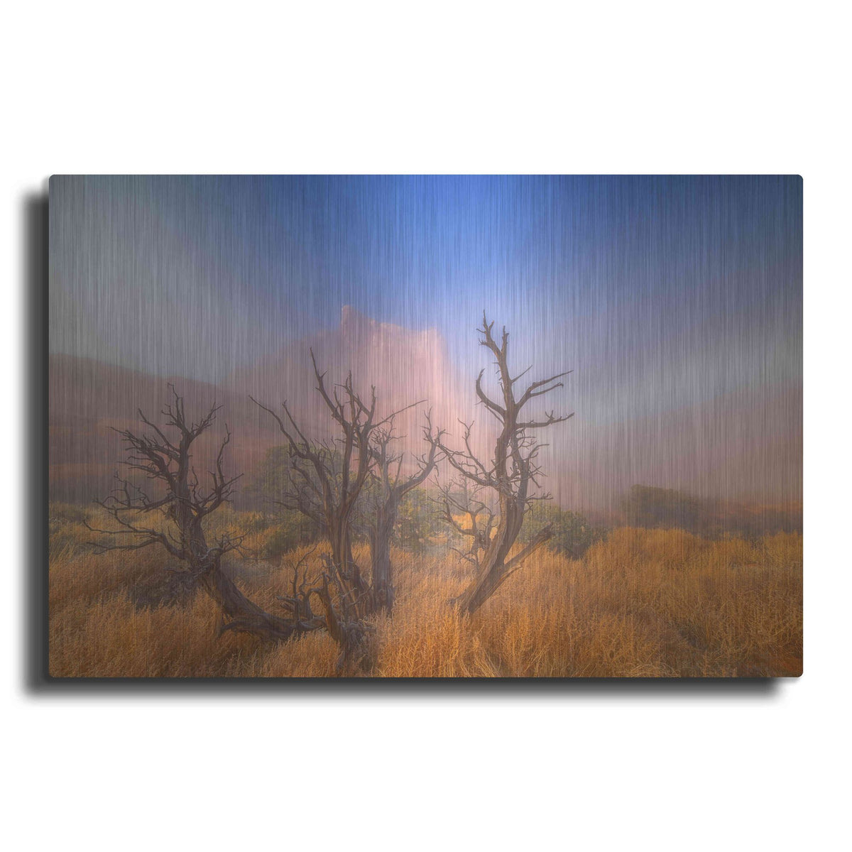 Luxe Metal Art 'Mystic Wonders' by Darren White, Metal Wall Art