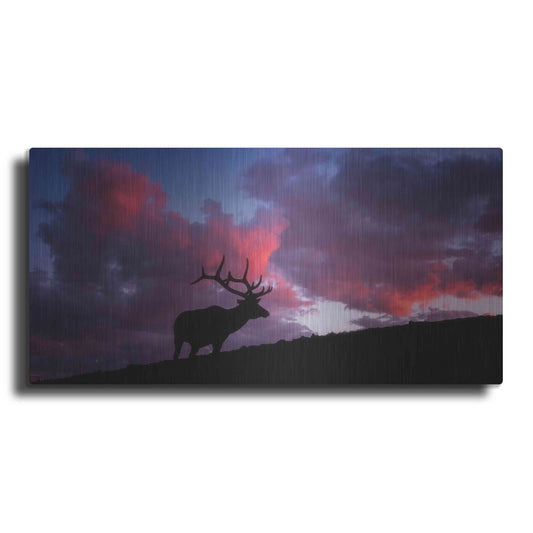 Luxe Metal Art 'Sunset in the Rockies - Rocky Mountain National Park' by Darren White, Metal Wall Art