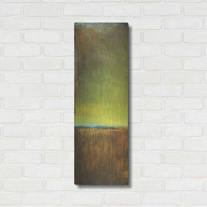 Luxe Metal Art 'Antigua Bay I' by Erin Ashley, Metal Wall Art,12x36