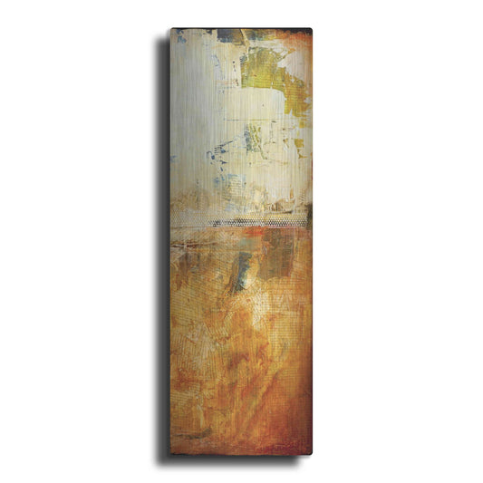 Luxe Metal Art 'Story in Your Eyes II' by Erin Ashley, Metal Wall Art