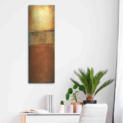 Luxe Metal Art 'Urban Zen I' by Erin Ashley, Metal Wall Art,12x36