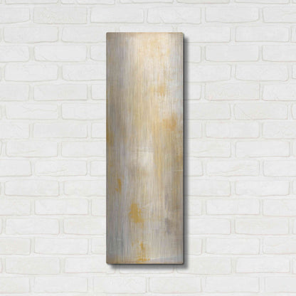 Luxe Metal Art 'Careless Whisper II' by Erin Ashley, Metal Wall Art,12x36