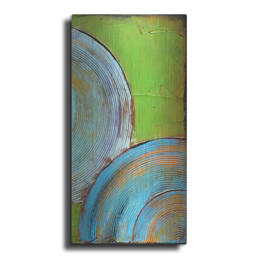 Luxe Metal Art 'Spring Congo II' by Erin Ashley, Metal Wall Art