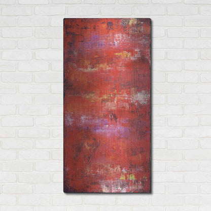 Luxe Metal Art 'Red Door II' by Erin Ashley, Metal Wall Art,24x48