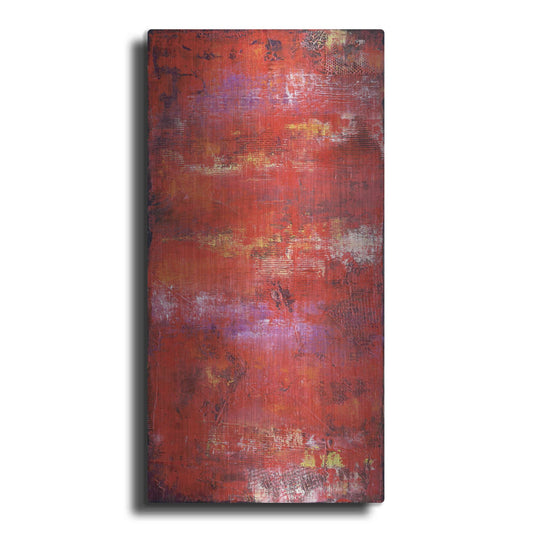 Luxe Metal Art 'Red Door II' by Erin Ashley, Metal Wall Art