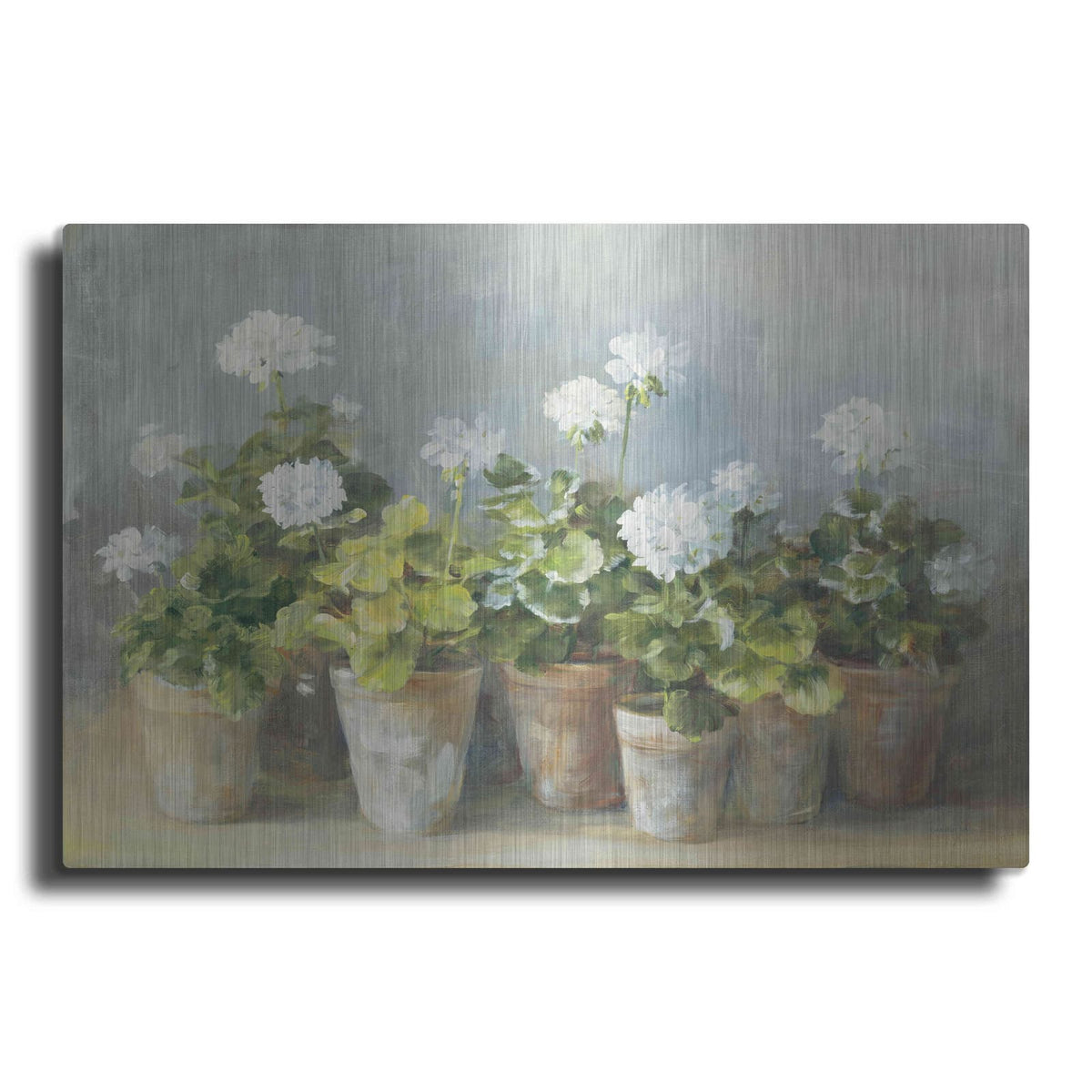 'White Geraniums Crop' by Danhui Nai – Metal Wall Art