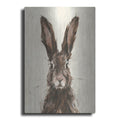 Luxe Metal Art 'European Hare I' by Ethan Harper, Metal Wall Art
