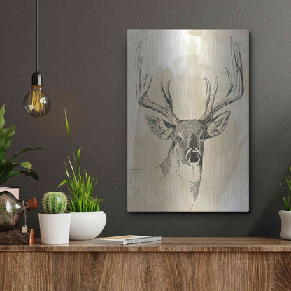 Luxe Metal Art 'Burnished Buck I' by Grace Popp, Metal Wall Art,12x16