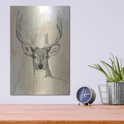 Luxe Metal Art 'Burnished Buck II' by Grace Popp, Metal Wall Art,12x16