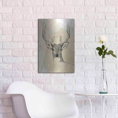 Luxe Metal Art 'Burnished Buck II' by Grace Popp, Metal Wall Art,16x24