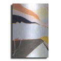 Luxe Metal Art 'Desert Candy I' by Grace Popp, Metal Wall Art