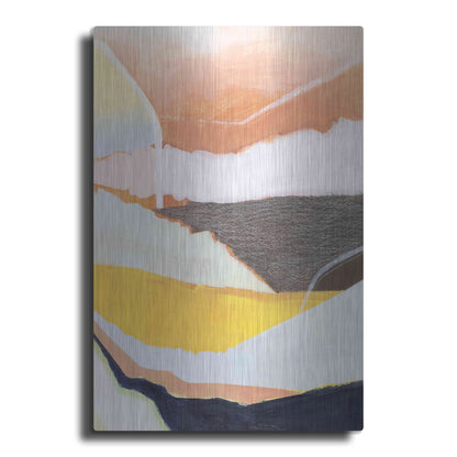Luxe Metal Art 'Desert Candy II' by Grace Popp, Metal Wall Art