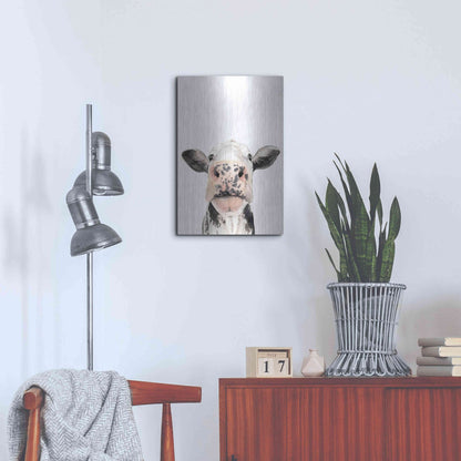 Luxe Metal Art 'Watercolor Cow Portrait II' by Grace Popp, Metal Wall Art,16x24