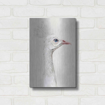 Luxe Metal Art 'Alpine Peacock I' by Grace Popp, Metal Wall Art,12x16