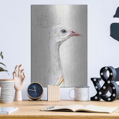 Luxe Metal Art 'Alpine Peacock I' by Grace Popp, Metal Wall Art,12x16