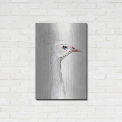 Luxe Metal Art 'Alpine Peacock I' by Grace Popp, Metal Wall Art,24x36