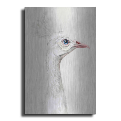 Luxe Metal Art 'Alpine Peacock I' by Grace Popp, Metal Wall Art