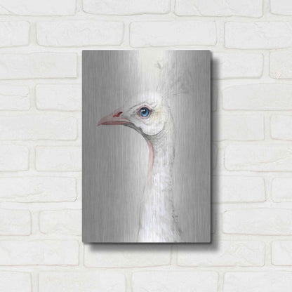 Luxe Metal Art 'Alpine Peacock II' by Grace Popp, Metal Wall Art,12x16