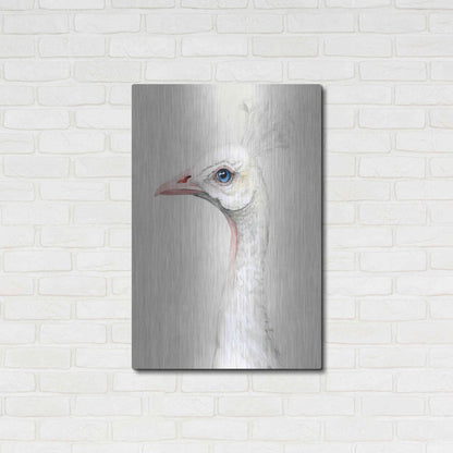 Luxe Metal Art 'Alpine Peacock II' by Grace Popp, Metal Wall Art,24x36