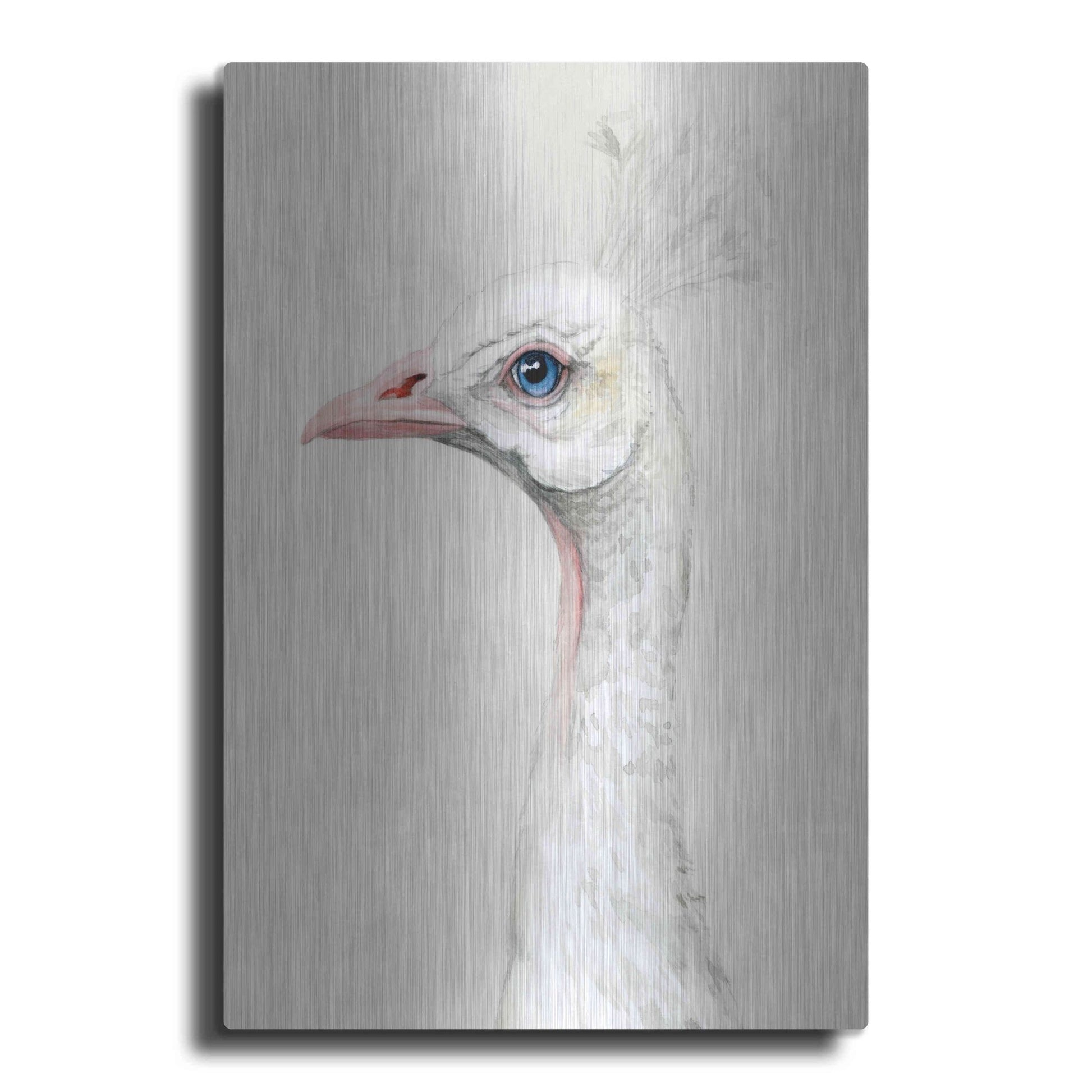 Luxe Metal Art 'Alpine Peacock II' by Grace Popp, Metal Wall Art