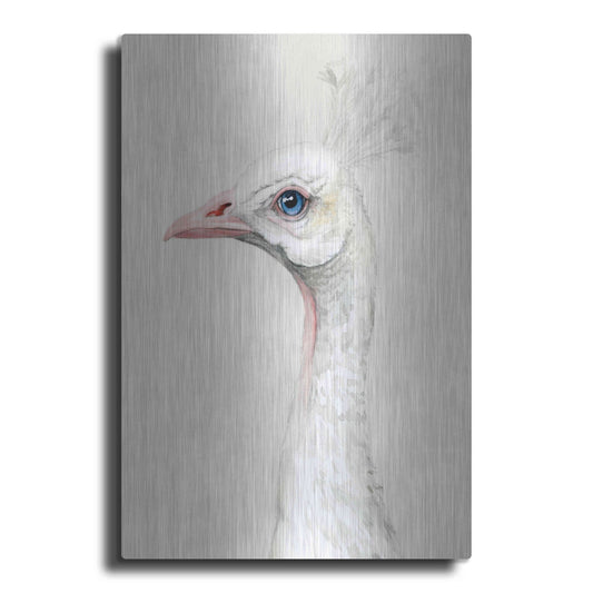 Luxe Metal Art 'Alpine Peacock II' by Grace Popp, Metal Wall Art