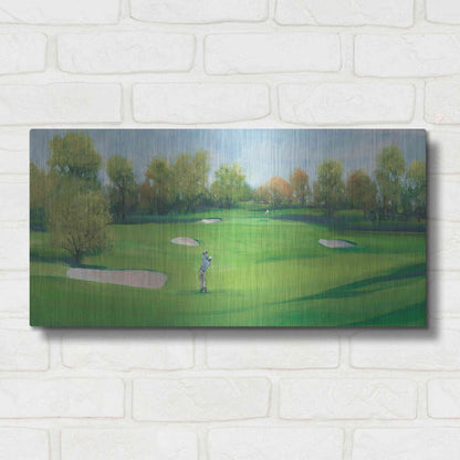 Luxe Metal Art 'Fairway Shot II' by Tim O'Toole, Metal Wall Art,24x12