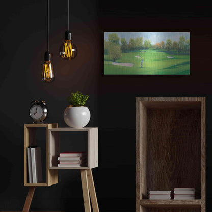 Luxe Metal Art 'Fairway Shot II' by Tim O'Toole, Metal Wall Art,24x12