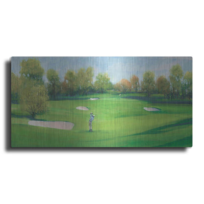 Luxe Metal Art 'Fairway Shot II' by Tim O'Toole, Metal Wall Art,24x12