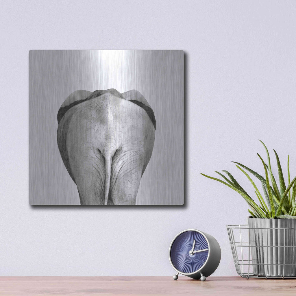 Luxe Metal Art 'Back Up Plan II' by Victoria Barnes, Metal Wall Art,12x12