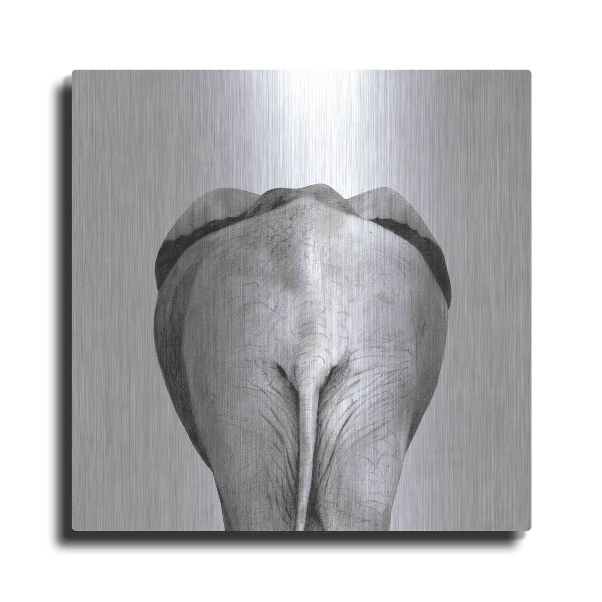 Luxe Metal Art 'Back Up Plan II' by Victoria Barnes, Metal Wall Art