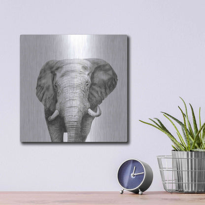 Luxe Metal Art 'Back Up Plan IV' by Victoria Barnes, Metal Wall Art,12x12