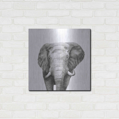 Luxe Metal Art 'Back Up Plan IV' by Victoria Barnes, Metal Wall Art,24x24