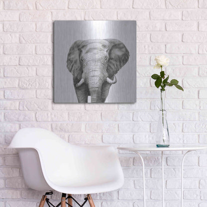 Luxe Metal Art 'Back Up Plan IV' by Victoria Barnes, Metal Wall Art,24x24