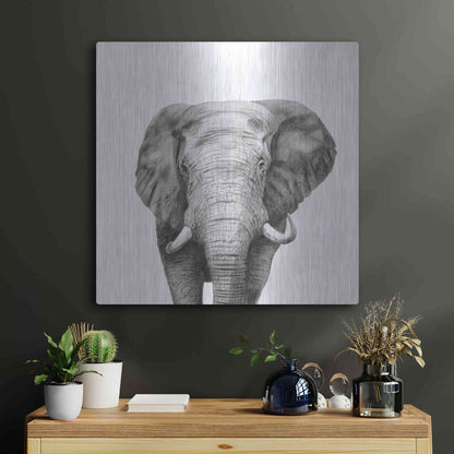 Luxe Metal Art 'Back Up Plan IV' by Victoria Barnes, Metal Wall Art,24x24