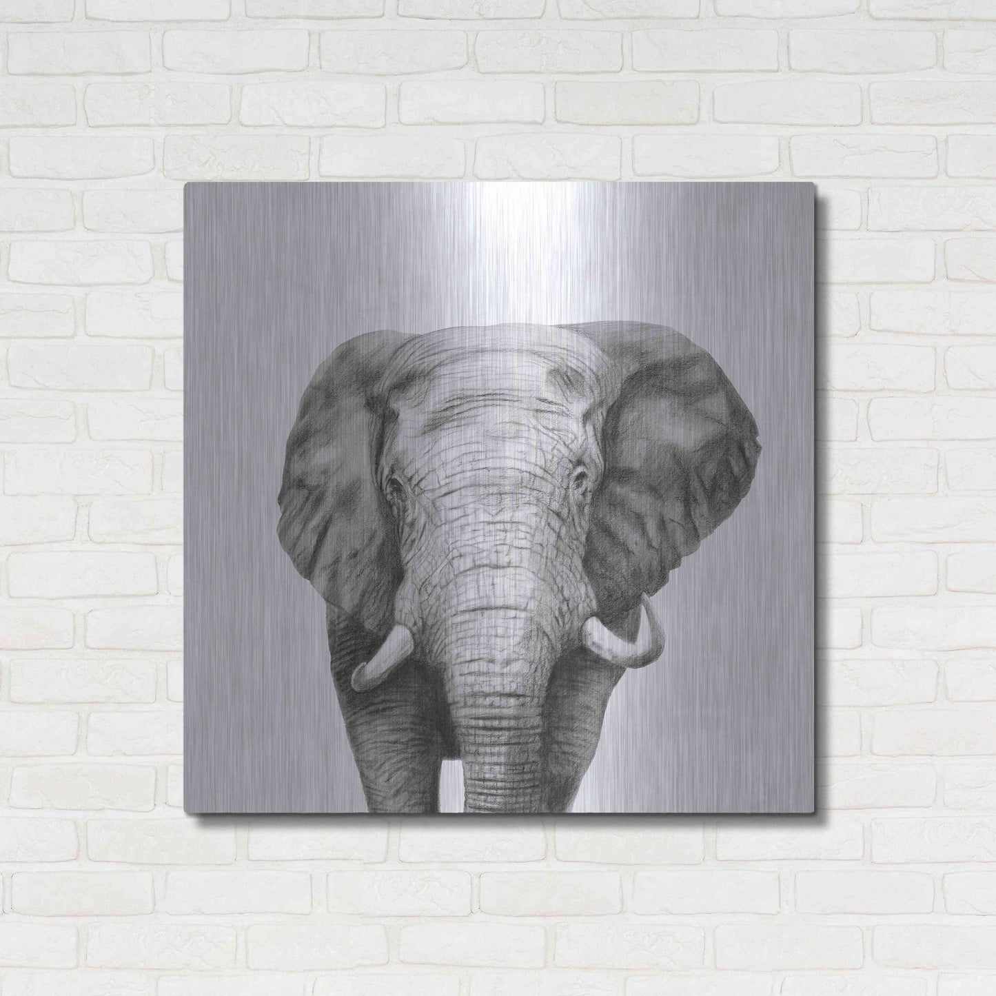 Luxe Metal Art 'Back Up Plan IV' by Victoria Barnes, Metal Wall Art,36x36