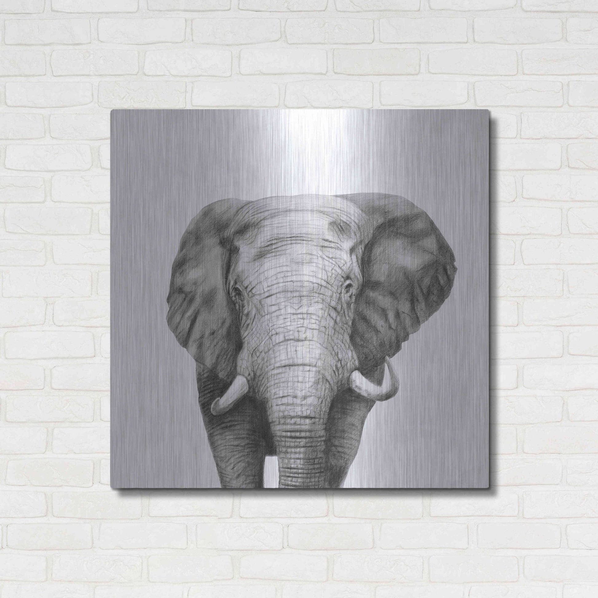 Luxe Metal Art 'Back Up Plan IV' by Victoria Barnes, Metal Wall Art,36x36