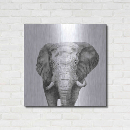 Luxe Metal Art 'Back Up Plan IV' by Victoria Barnes, Metal Wall Art,36x36