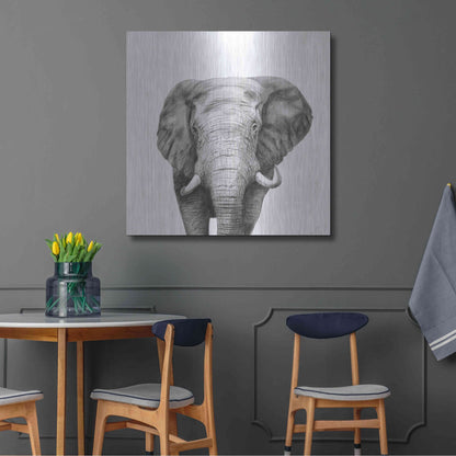 Luxe Metal Art 'Back Up Plan IV' by Victoria Barnes, Metal Wall Art,36x36