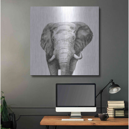 Luxe Metal Art 'Back Up Plan IV' by Victoria Barnes, Metal Wall Art,36x36