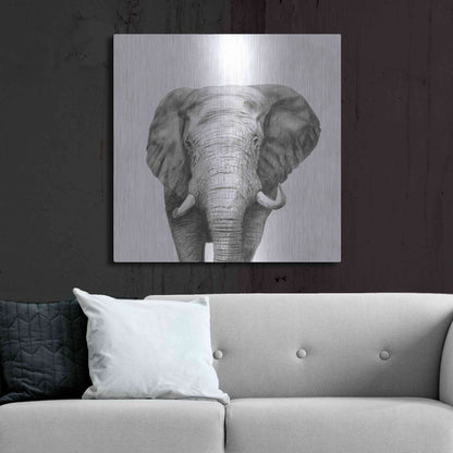 Luxe Metal Art 'Back Up Plan IV' by Victoria Barnes, Metal Wall Art,36x36