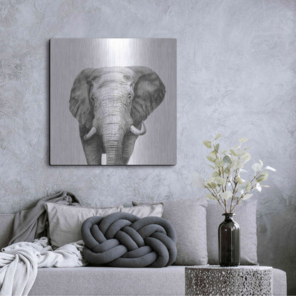 Luxe Metal Art 'Back Up Plan IV' by Victoria Barnes, Metal Wall Art,36x36