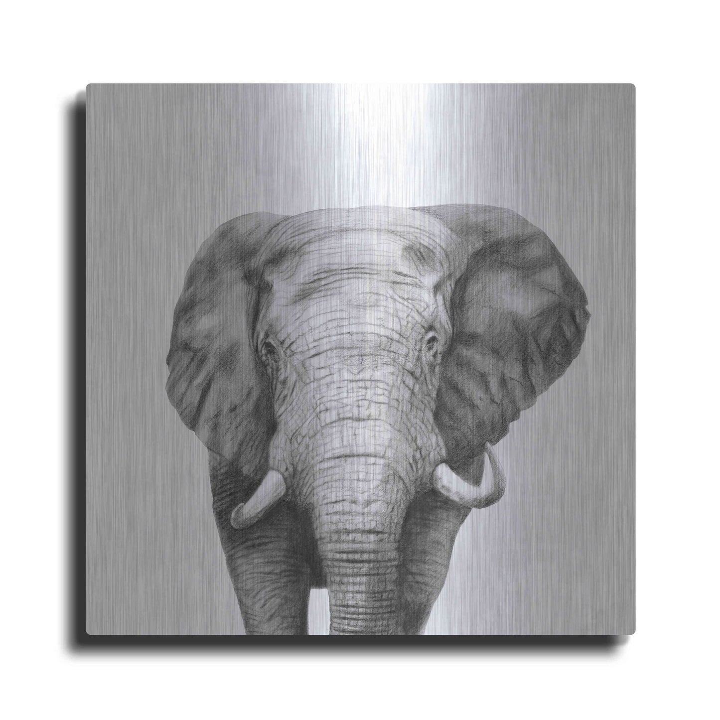 Luxe Metal Art 'Back Up Plan IV' by Victoria Barnes, Metal Wall Art