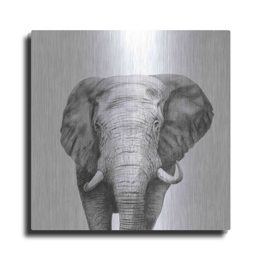 Luxe Metal Art 'Back Up Plan IV' by Victoria Barnes, Metal Wall Art