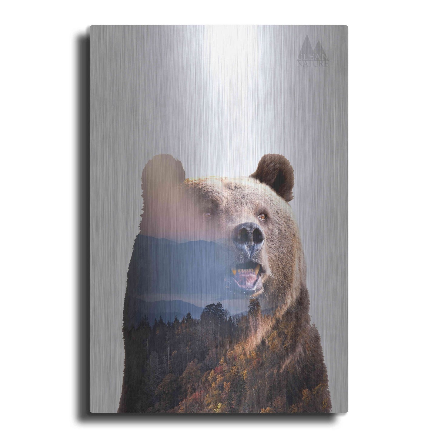 Luxe Metal Art 'Bear' by Clean Nature, Metal Wall Art