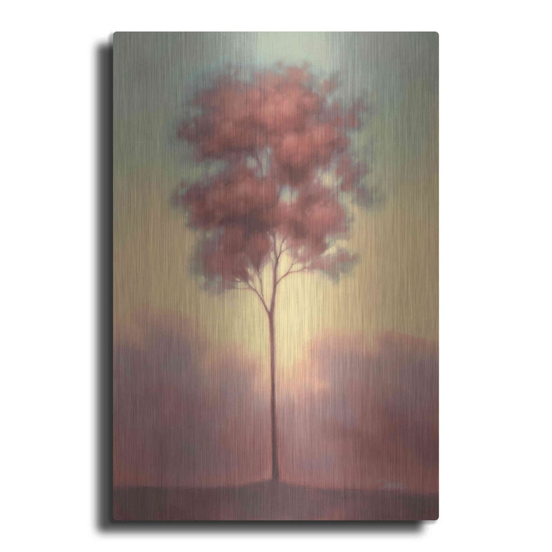 'Solitude II' by Darlou Gams – Metal Wall Art
