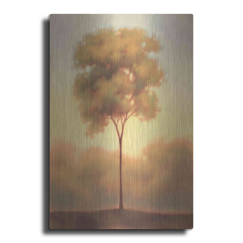 'Solitude III' by Darlou Gams – Metal Wall Art