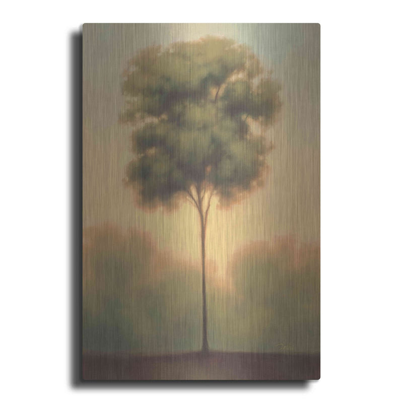 'Solitude IV' by Darlou Gams – Metal Wall Art
