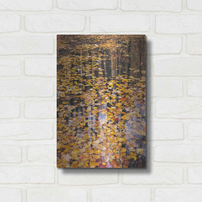 Luxe Metal Art 'Autumn Detail' by John Gavrilis, Metal Wall Art,12x16