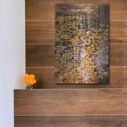 Luxe Metal Art 'Autumn Detail' by John Gavrilis, Metal Wall Art,12x16